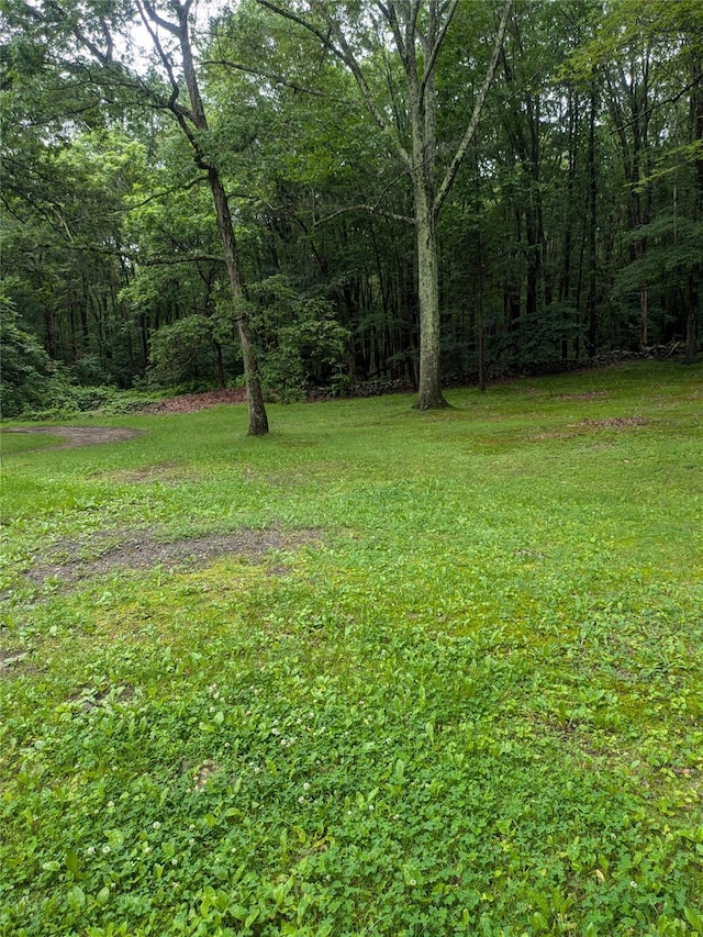 24 Delilah Ln, Plattekill, NY 12589 - view of grassy yard with a wooded view
