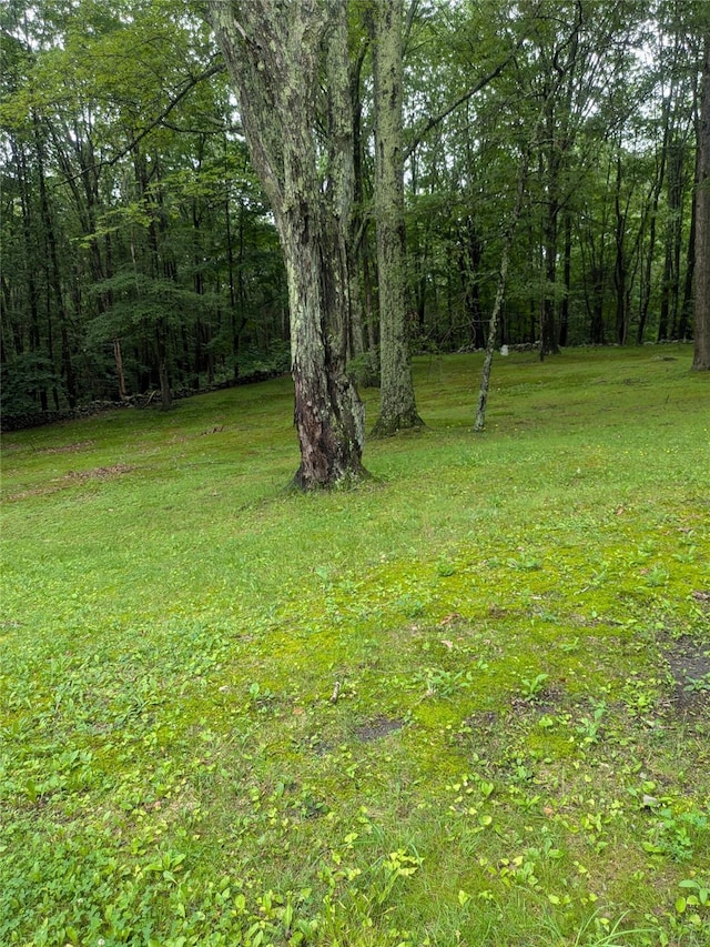 24 Delilah Ln, Plattekill, NY 12589 - view of green lawn with a forest view