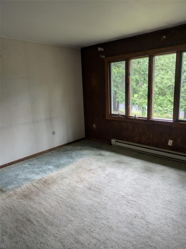 24 Delilah Ln, Plattekill, NY 12589 - carpeted spare room with a baseboard heating unit and wood walls