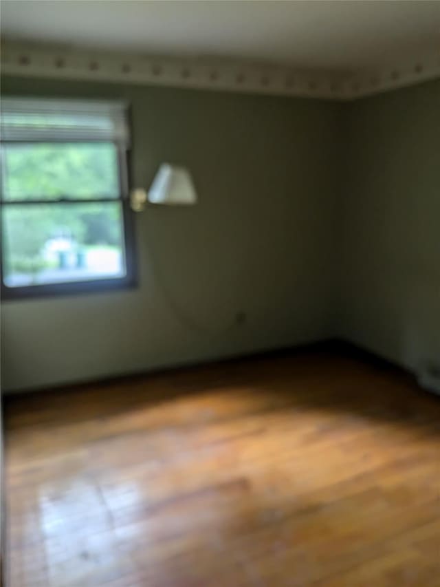24 Delilah Ln, Plattekill, NY 12589 - spare room with dark wood finished floors