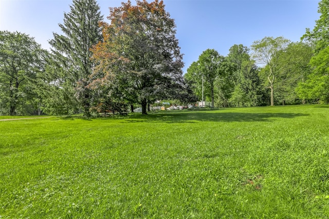 627 Haverstraw Rd, Airmont, NY 10901 - view of green lawn
