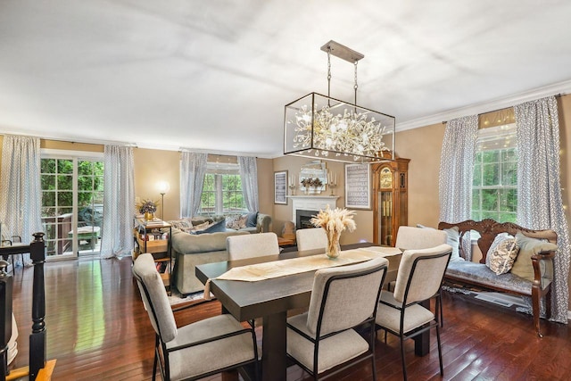 55 Winterberry Cir, Cross River, NY 10518 - dining space featuring dark wood-type flooring, crown molding, and a fireplace