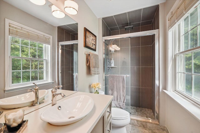 55 Winterberry Cir, Cross River, NY 10518 - bathroom with vanity, plenty of natural light, and a shower stall