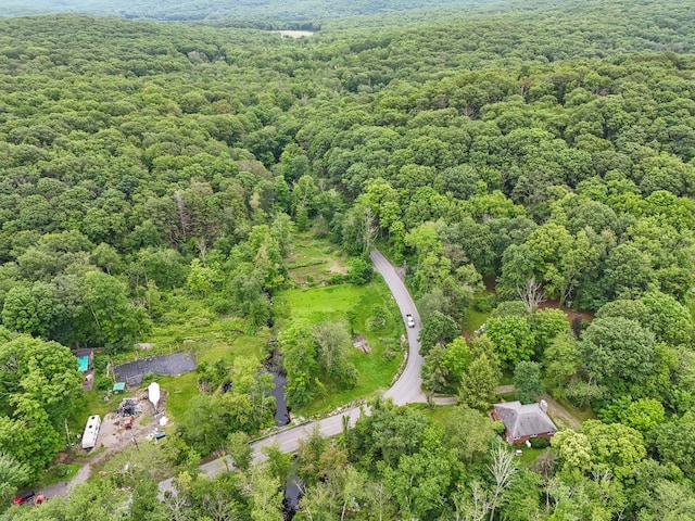 65 Hortontown Rd, Carmel, NY 10512 - aerial overview of property's location featuring a forest