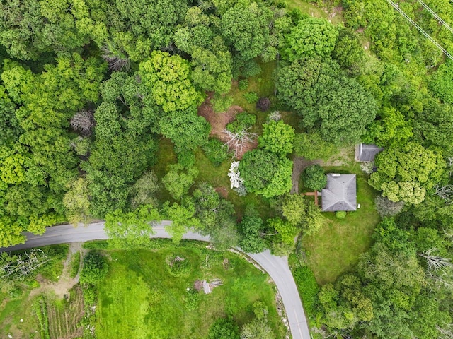 65 Hortontown Rd, Carmel, NY 10512 - aerial view of property's location