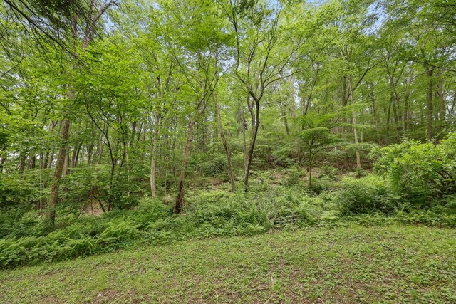 65 Hortontown Rd, Carmel, NY 10512 - view of woods