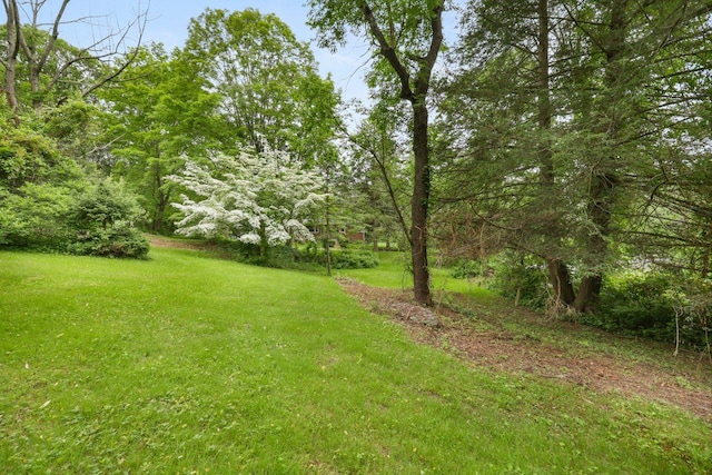 65 Hortontown Rd, Carmel, NY 10512 - view of green lawn