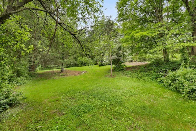 65 Hortontown Rd, Carmel, NY 10512 - view of green lawn with a forest view