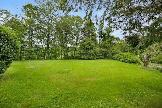 65 Hortontown Rd, Carmel, NY 10512 - view of green lawn