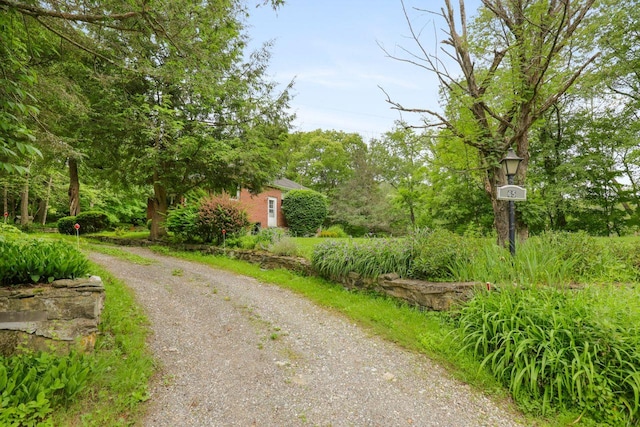 65 Hortontown Rd, Carmel, NY 10512 - view of dirt / gravel driveway