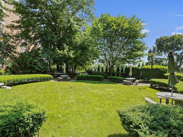 90 Bryant Ave Unit 3Da, White Plains, NY 10605 - view of green lawn