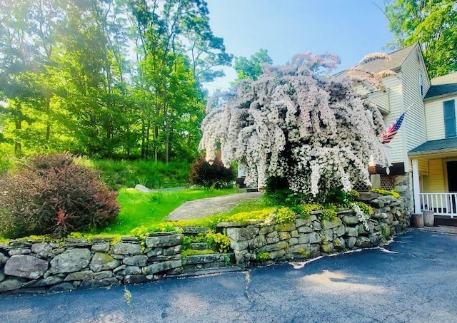 391 Bull Mill Rd, Chester, NY 10918 - photo 27