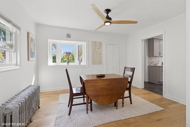 65 Union St, Beacon, NY 12508 - dining space featuring radiator, light wood-style floors, crown molding, and ceiling fan