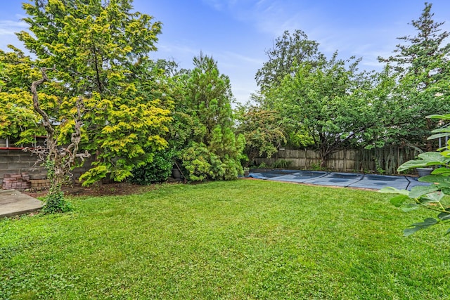 1484 164th St, Beechhurst, NY 11357 - photo 4