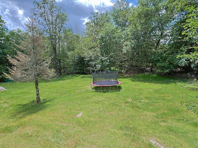 20 Haddock Rd, Monticello, NY 12701 - photo 13