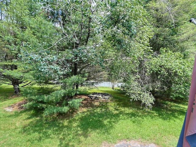 20 Haddock Rd, Monticello, NY 12701 - photo 16