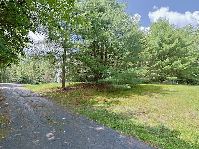 20 Haddock Rd, Monticello, NY 12701 - photo 4