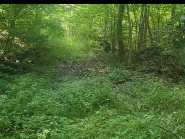224 Hickory Hill Ln, Newburgh, NY 12550