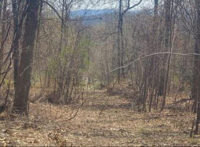 224 Hickory Hill Ln, Newburgh, NY 12550
