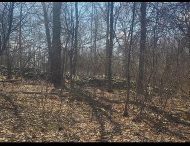 224 Hickory Hill Ln, Newburgh, NY 12550