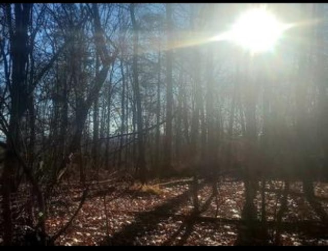 224 Hickory Hill Ln, Newburgh, NY 12550