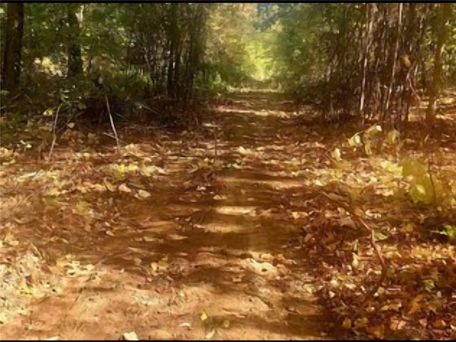 224 Hickory Hill Ln, Newburgh, NY 12550