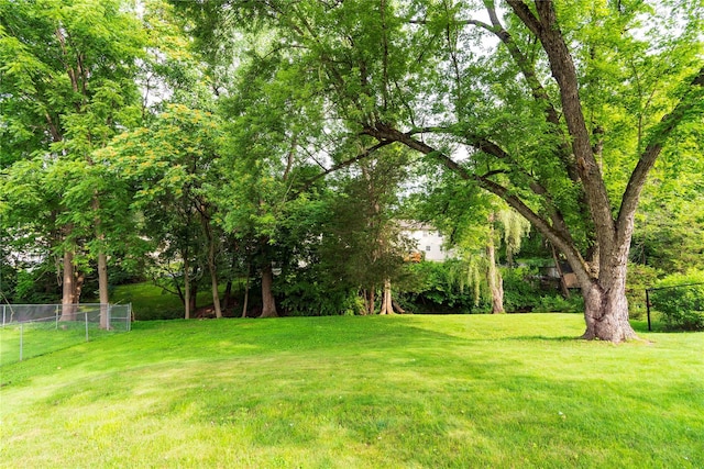 4 Pasture Ln, Poughkeepsie, NY 12603 - view of yard