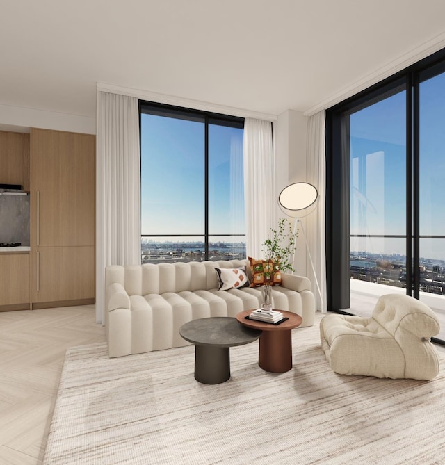133-25 37th Ave Unit 3C, Flushing, NY 11354 - living room featuring expansive windows