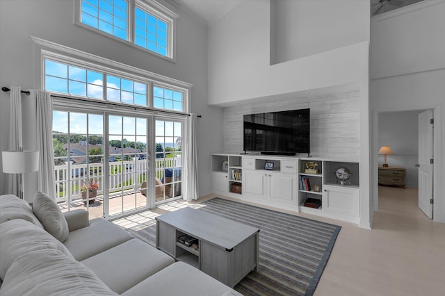 18 Tall Tree Cir, Jamesport, NY 11901 - living room with a towering ceiling, crown molding, and light wood-type flooring