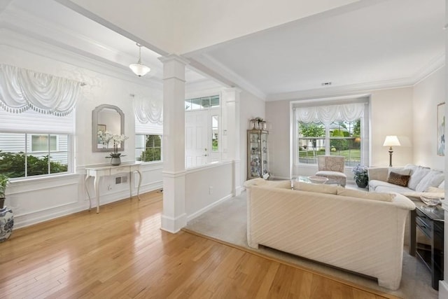 15 Louden Loop, Mount Sinai, NY 11766 - living room featuring ornamental molding, ornate columns, healthy amount of natural light, and light wood-type flooring