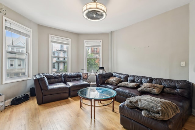 455 E 26th St, Brooklyn, NY 11226 - photo 4
