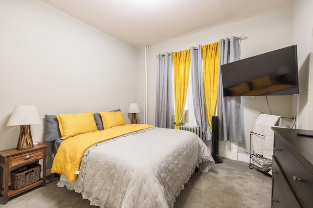 455 E 26th St, Brooklyn, NY 11226 - photo 23