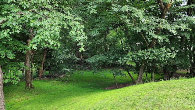 27 Maiden Ln, New City, NY 10956 - view of grassy yard