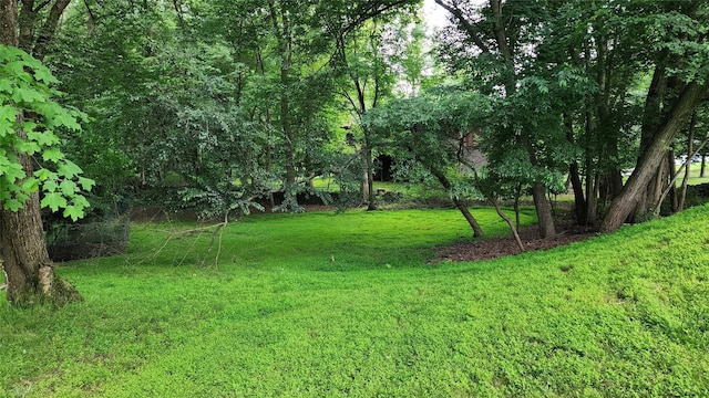 27 Maiden Ln, New City, NY 10956 - view of green lawn