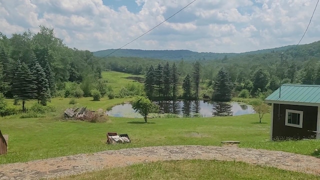 77 Krum, Hurleyville, NY 12747 - view of mountain background featuring a large body of water and a forest