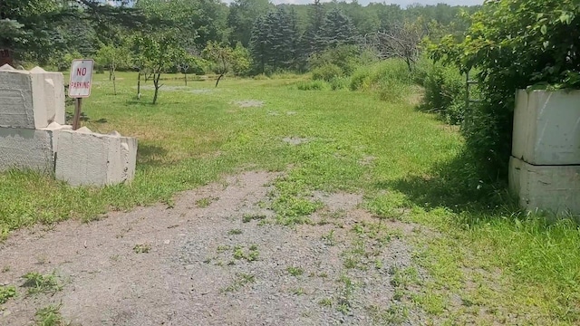 77 Krum, Hurleyville, NY 12747 - view of yard with a wooded view