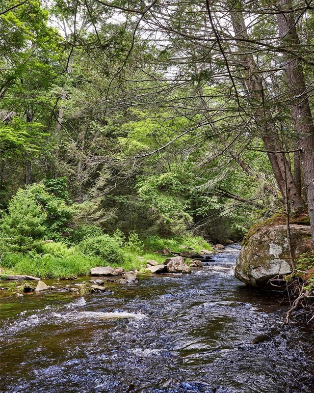 224 Upper Lumber Rd, Glen Spey, NY 12737 - view of tree filled area