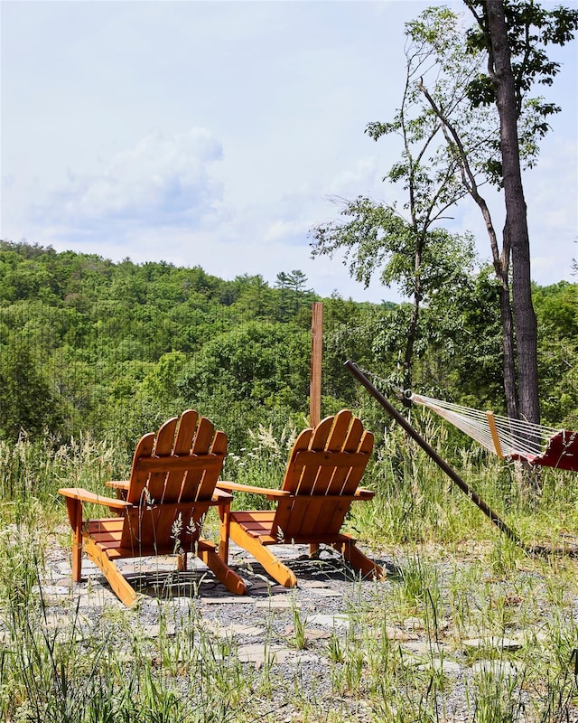 224 Upper Lumber Rd, Glen Spey, NY 12737 - view of yard featuring a wooded view