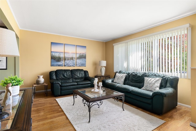 7 Garnet Ln, Plainview, NY 11803 - living room featuring crown molding and light wood-style floors