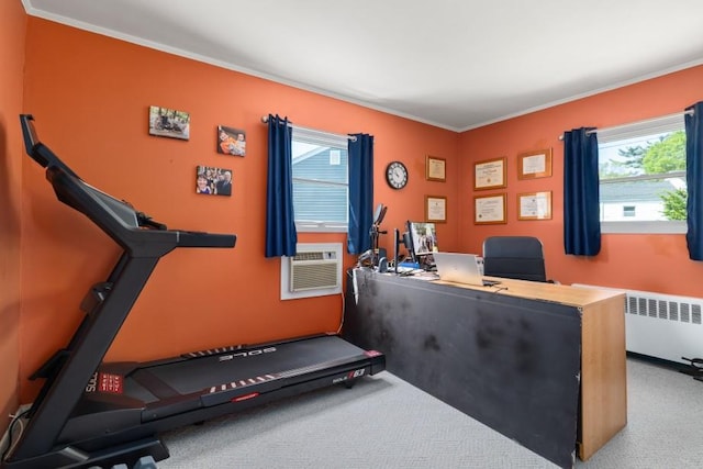 7 Garnet Ln, Plainview, NY 11803 - office area featuring radiator, crown molding, healthy amount of natural light, carpet, and cooling unit