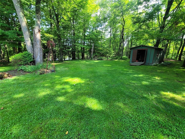 1485 Briscoe Rd, Swan Lake, NY 12783 - view of grassy yard featuring a storage unit