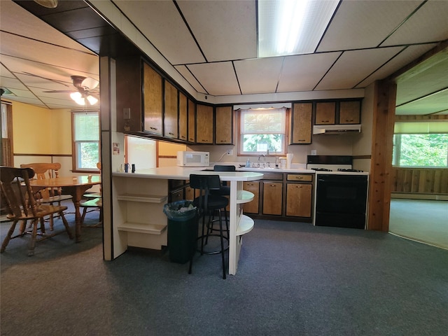 1485 Briscoe Rd, Swan Lake, NY 12783 - kitchen with white appliances, under cabinet range hood, a baseboard radiator, light countertops, and healthy amount of natural light