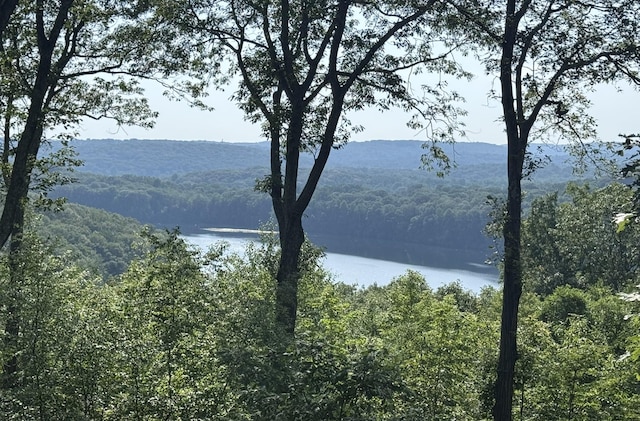 25 Lake Gilead Rd, Carmel, NY 10512 - water view featuring a forest and mountains