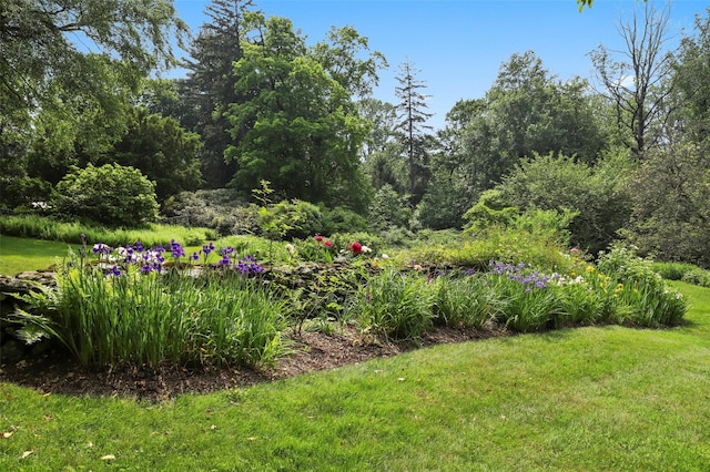 328 Mclain St, Bedford Hills, NY 10507 - photo 7