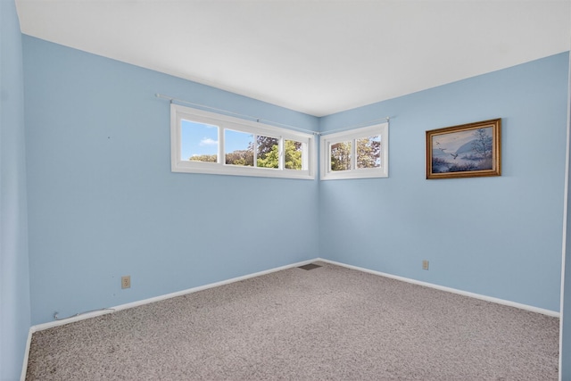 6 Peter Scott Dr, Cornwall, NY 12518 - photo 19