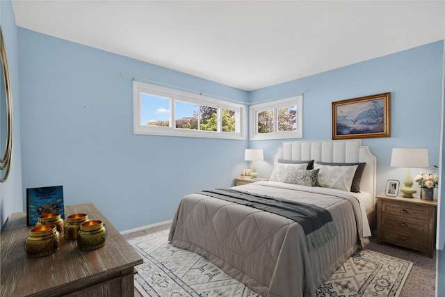 6 Peter Scott Dr, Cornwall, NY 12518 - photo 20