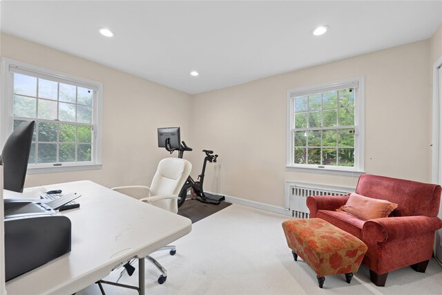 156 Lefferts Rd, Woodmere, NY 11598 - office space featuring radiator, carpet floors, and recessed lighting