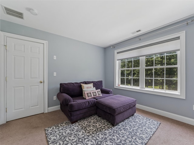 10 Lilac Ln, Fishkill, NY 12524 - photo 24