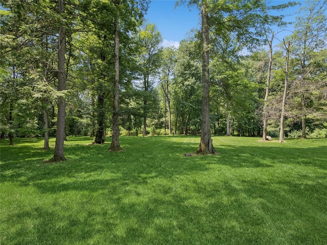 10 Lilac Ln, Fishkill, NY 12524 - photo 36
