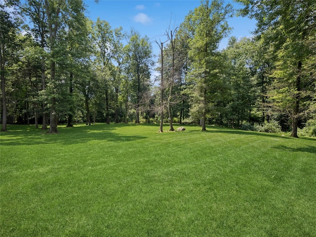 10 Lilac Ln, Fishkill, NY 12524 - photo 37